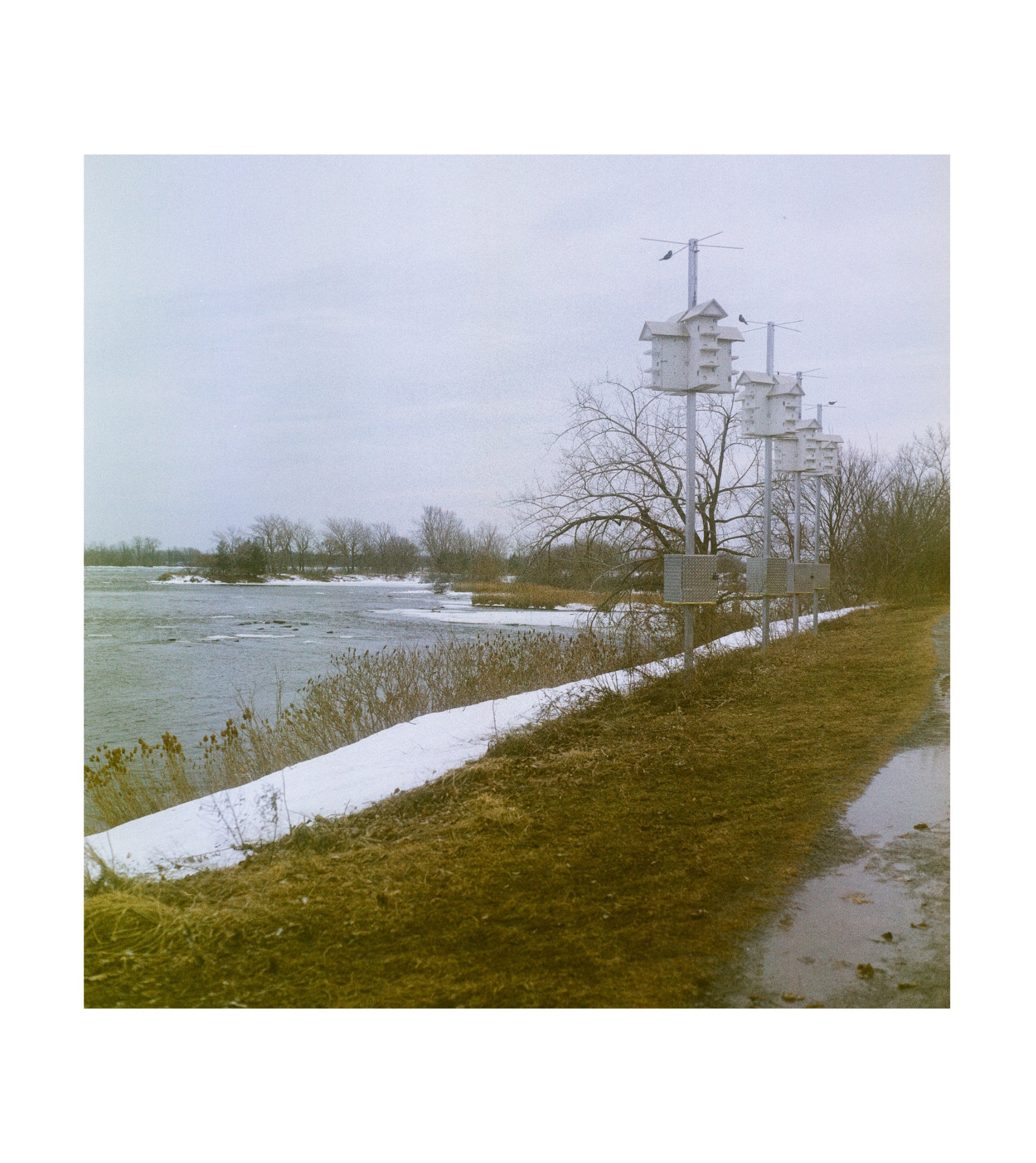 By the Canal — Fine Art Photography Montreal