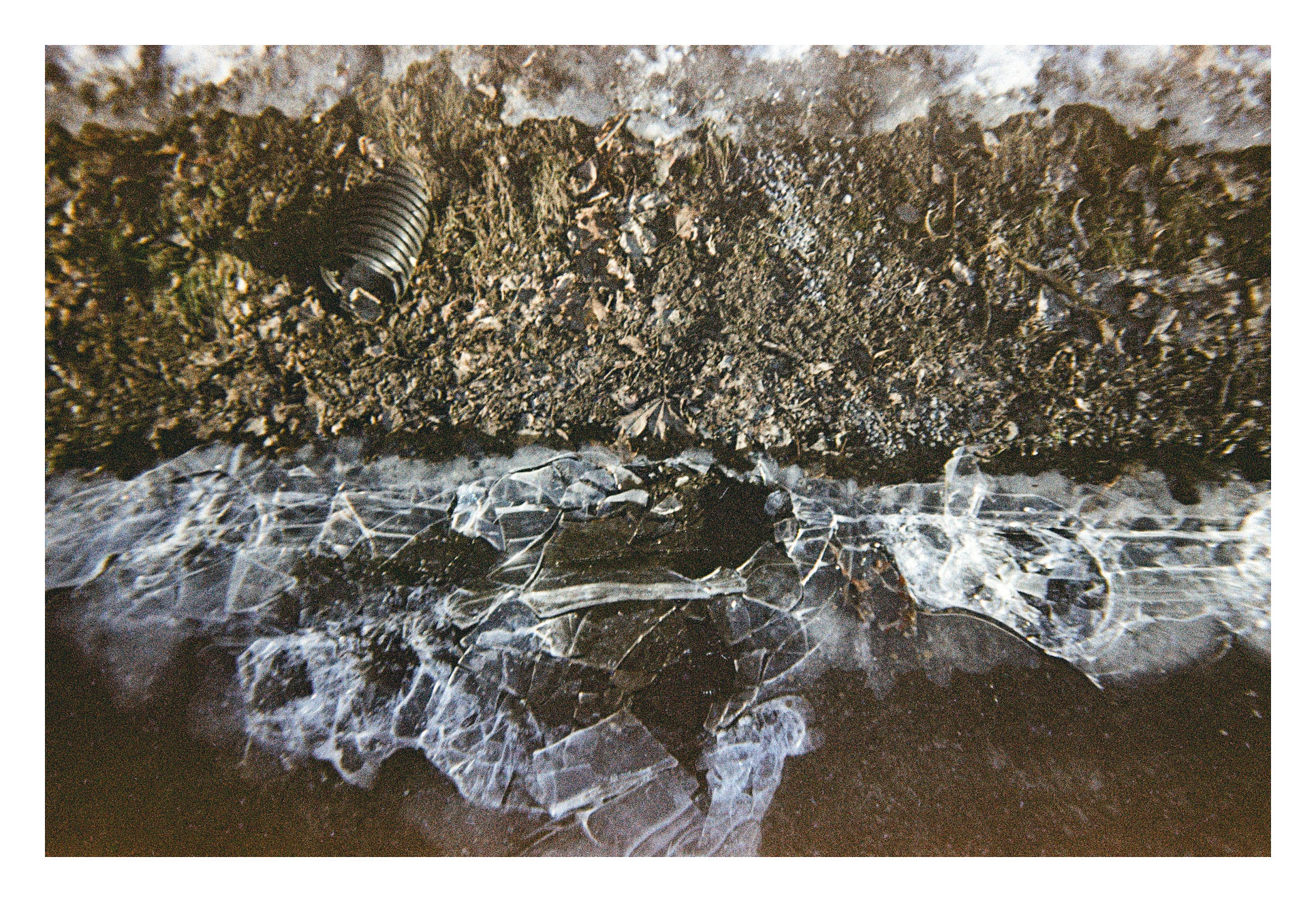 Still Life by Sewer — Fine Art Photography Montreal