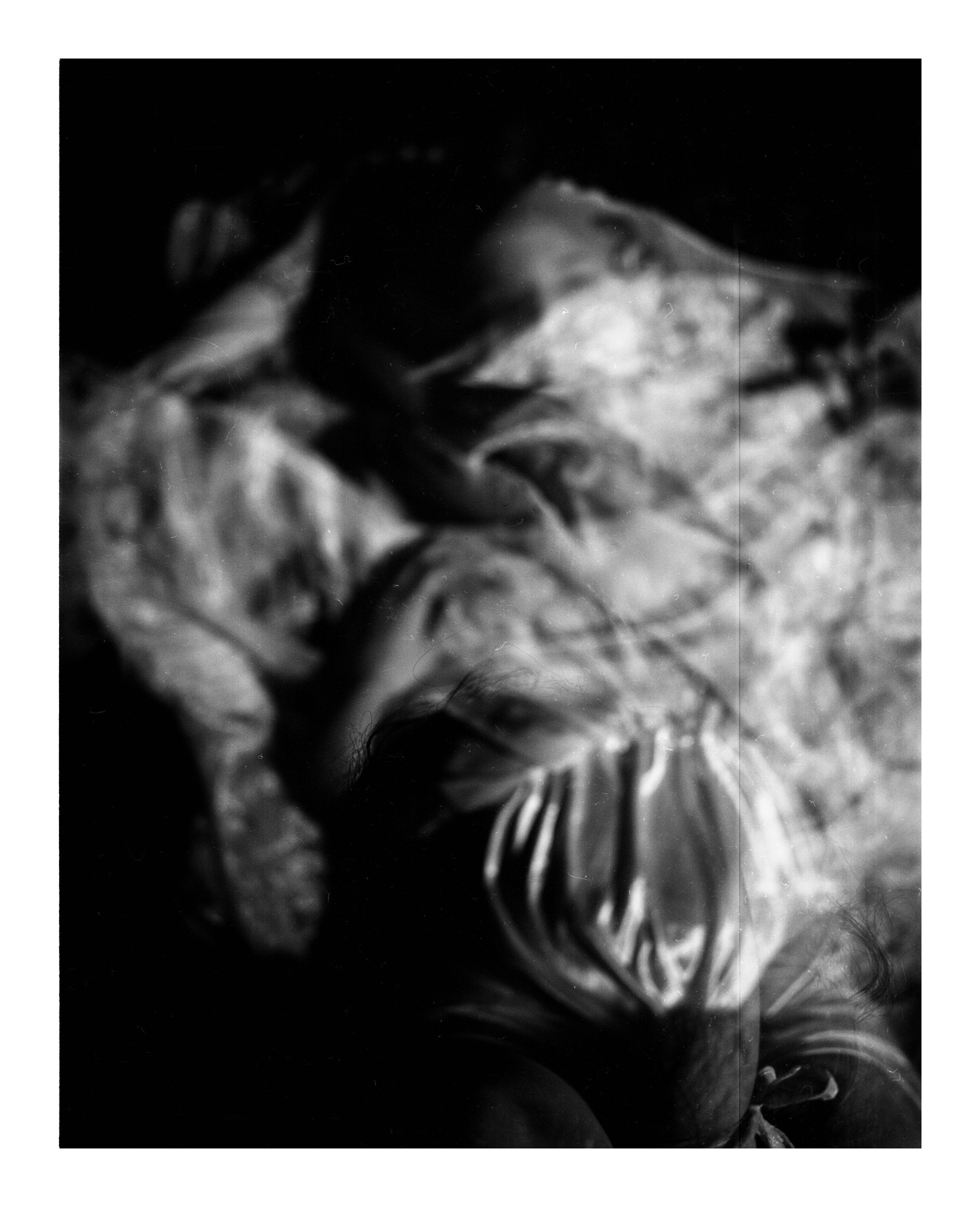 Texture Study II — Fine Art Photography by AngryLatina
