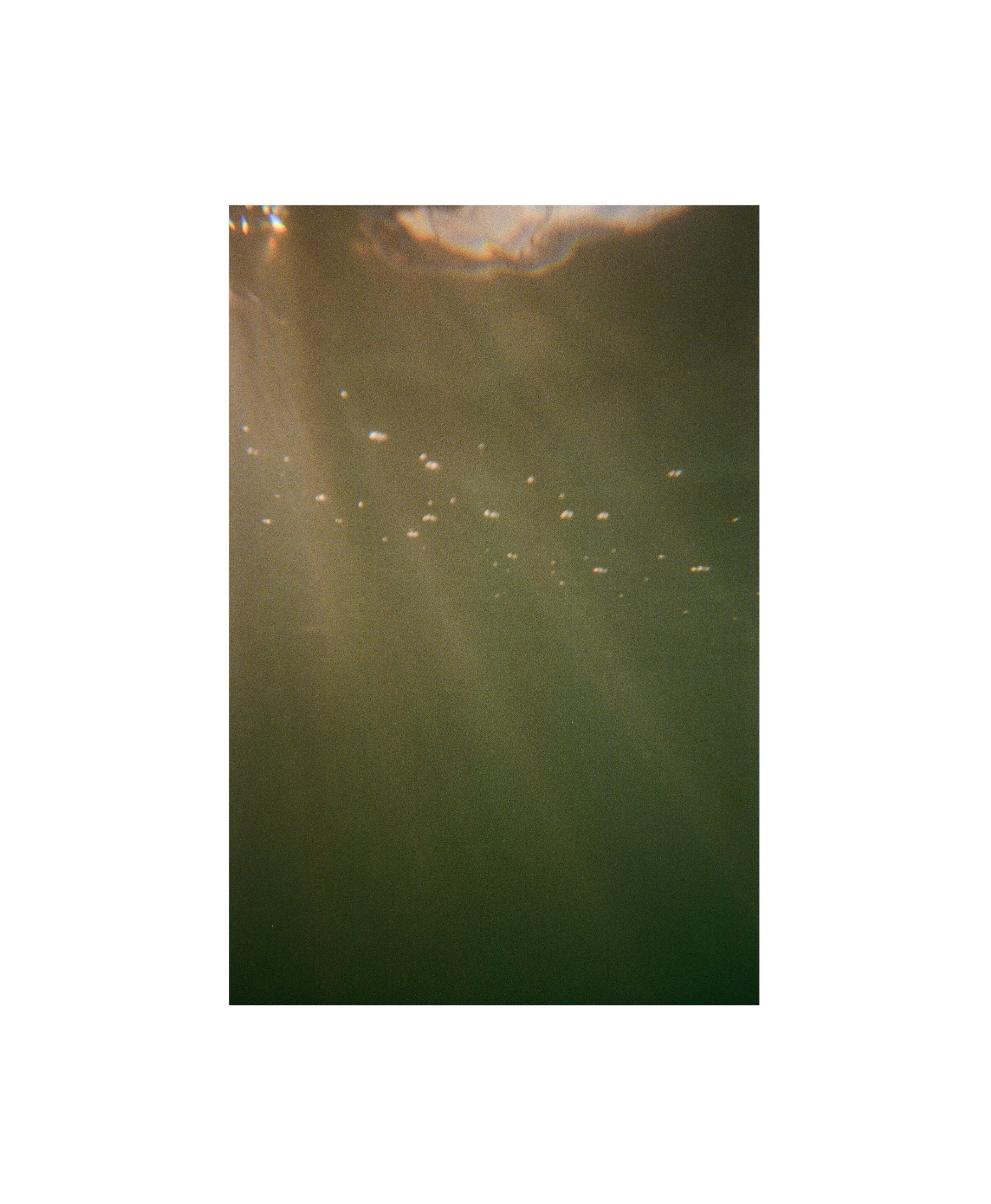 Underwater — Fine Art Photography by Mariangels Lombano